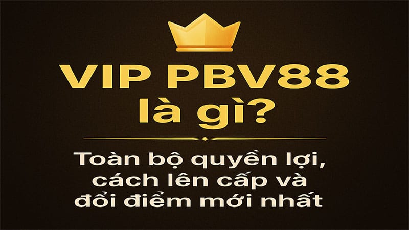 vip pbv88 la gi