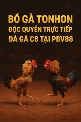 bo ga tonhon c6