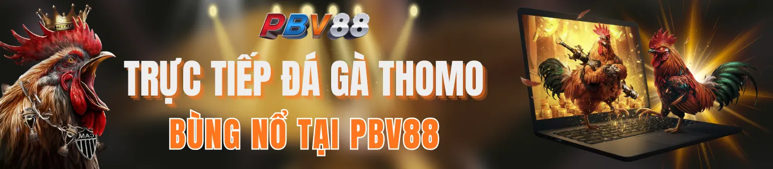 đá gà thomo PBV88