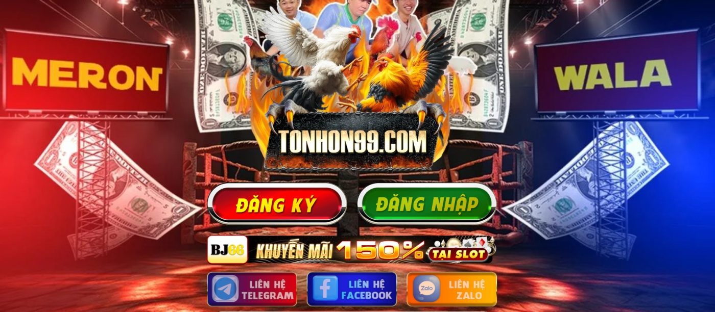 đá gà trực tiếp Tonhon99