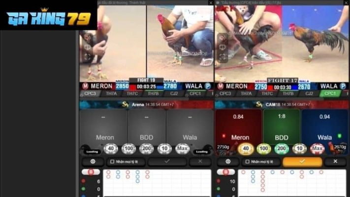 gaking79 xem live da ga co binh luan vien 1