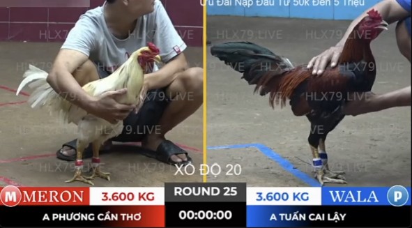 hlx79.live bo thuong phuoc